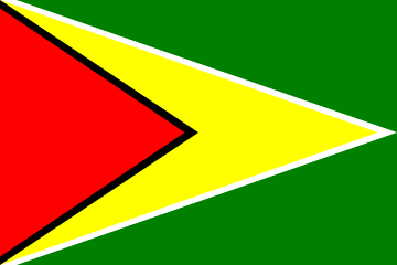 Flaga Gujany.