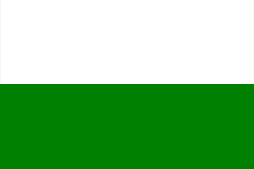 Barwy klubowe (biało-zielone).