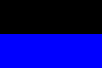 Barwy klubowe (czarno-niebieskie).