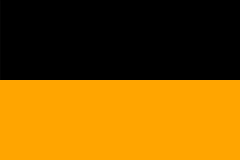 Barwy klubowe (czarno-pomarańczowe).