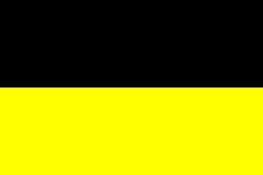 Barwy klubowe (czarno-żółte).