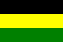 Barwy klubowe (czarno-żółto-zielone).