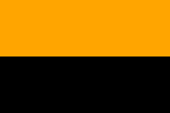 Barwy klubowe (pomarańczowo-czarne).