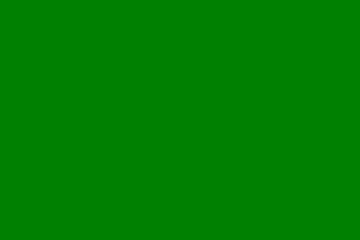 Barwy klubowe (zielone).