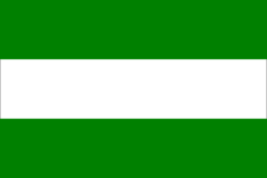 Barwy klubowe (zielono-biało-zielone).