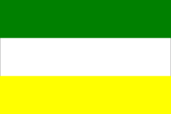 Barwy klubowe (zielono-biało-żółte).