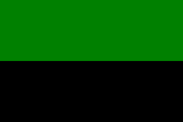 Barwy klubowe (zielono-czarne).