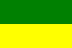 Barwy klubowe (zielono-żółte).