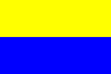 Barwy klubowe (żółto-niebieskie).