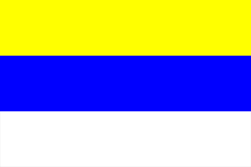 Barwy klubowe (żółto-niebiesko-białe).