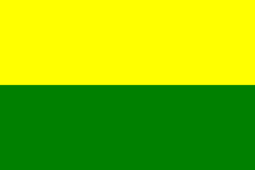 Barwy klubowe (żółto-zielone).